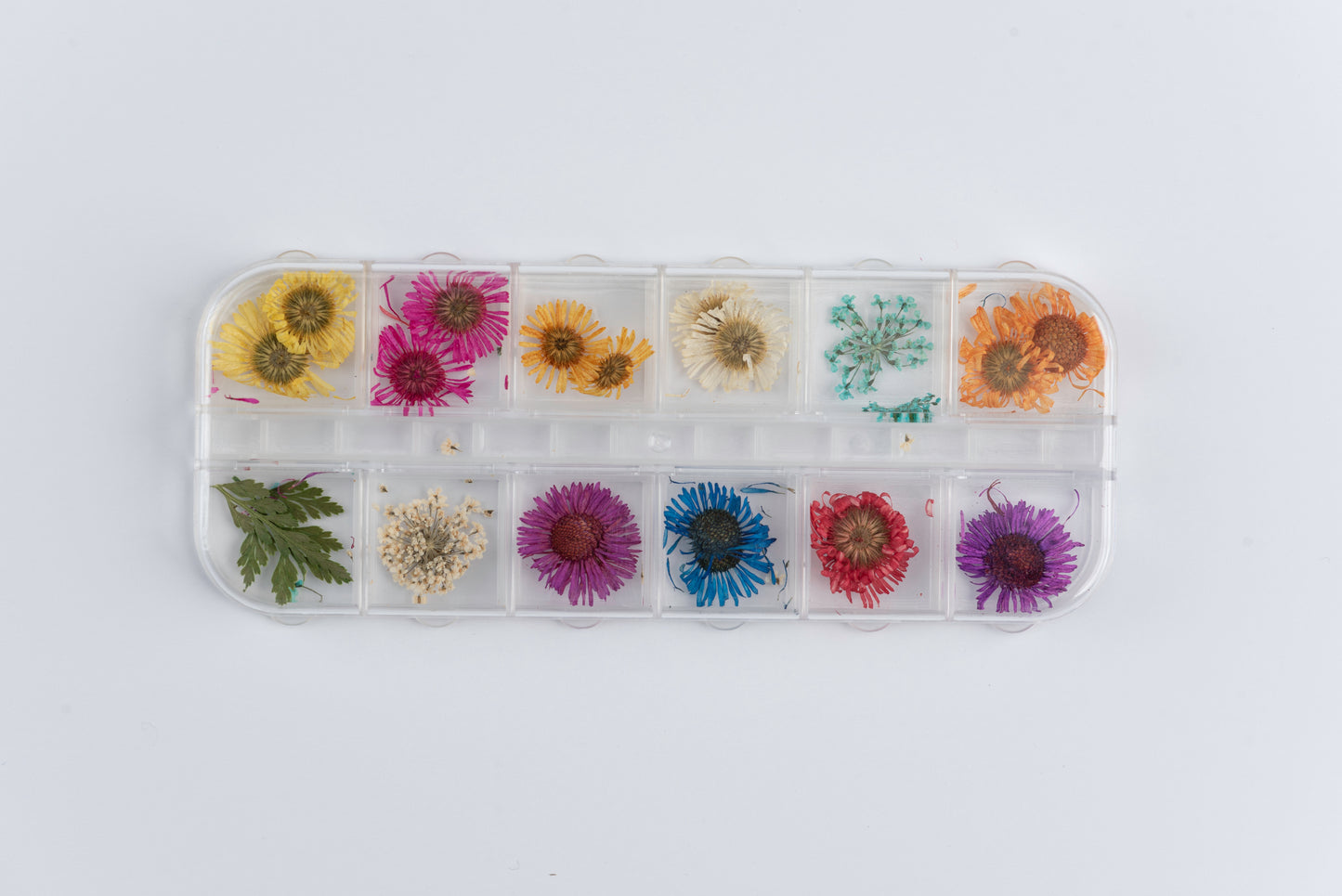 3D Dried Flowers