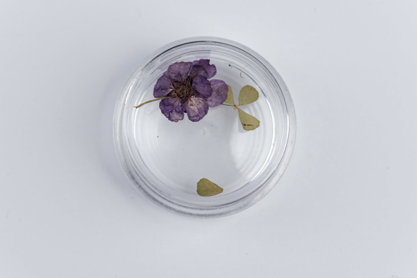 3D Nail Art- Dried Flowers